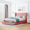 Contemporary Queen Wood Panel Bed Frame with Headboard in White 4