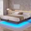 Queen Size Floating Bed Frame with LED Lights and Easy Assembly