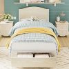 Full Size Vintage Metal Bed Frame with Headboard and Footboard 4