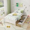 Queen Rattan Bed Frame with Headboard Boho Style Platform Bed 3
