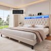 Twin Size Storage Platform Bed with Trundle and LED Light Features 4