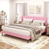 Pink Vertical Channel Tufted Wingback Bed Frame No Box Spring Needed