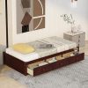 Queen Adjustable Bed Frame 14 Inch High Classic Metal Frame 3