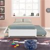 Full Bed with Trundle and 2 Drawers for Kids and Adults in White