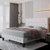 Merax Upholstered Queen Bed Frame with Unique Shell Headboard 3